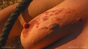 Bullwhipped - Sharon