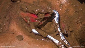 Dead Sea Mud