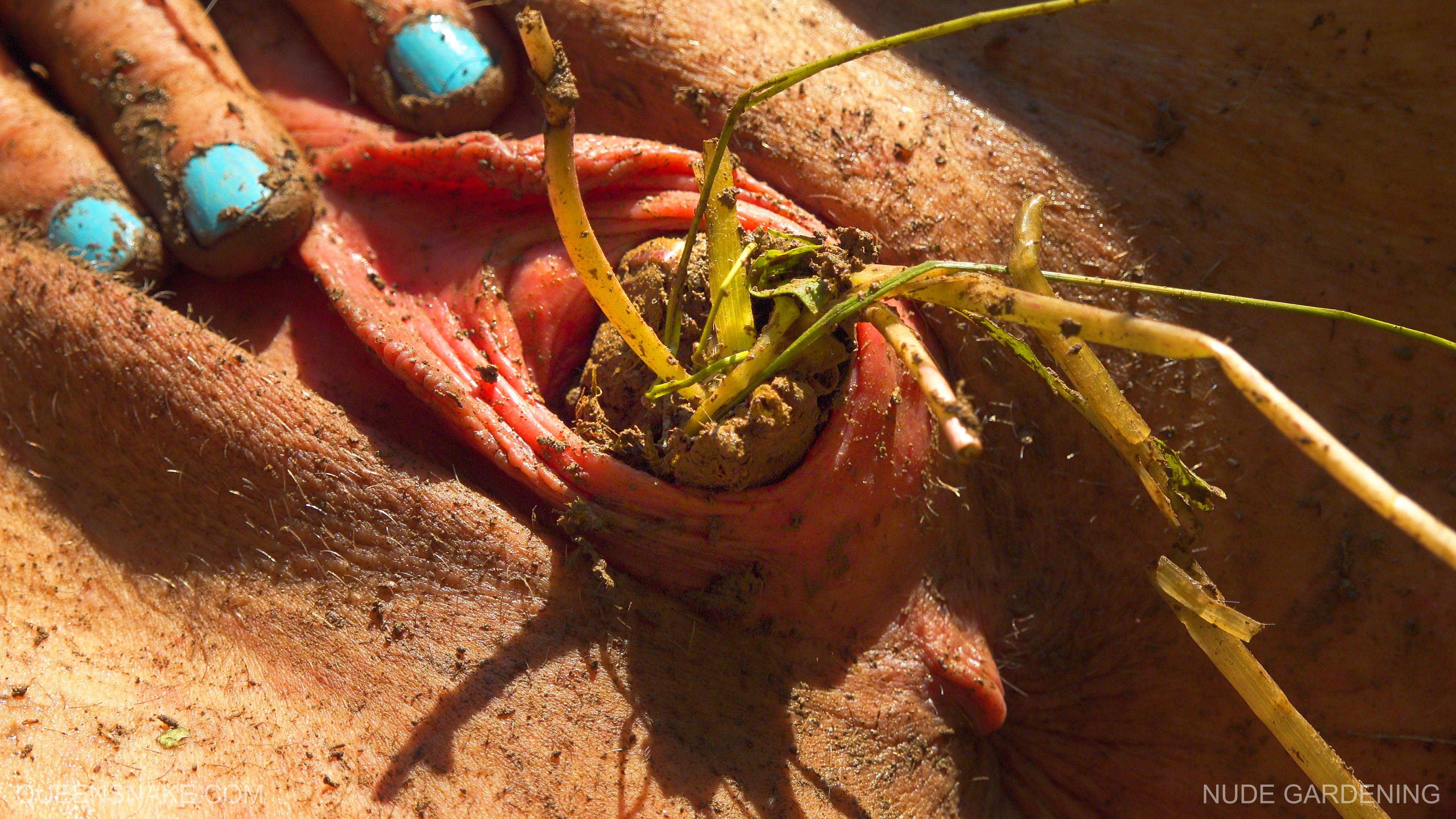Nude Gardening